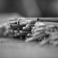 01_pencils_08