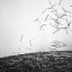02_flying_pencils_06