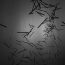 02_flying_pencils_08