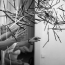 02_flying_pencils_14