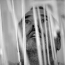08_combing_lines_02